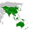 قاره آسیا رکورددار بزرگترین زیان بیمه ای